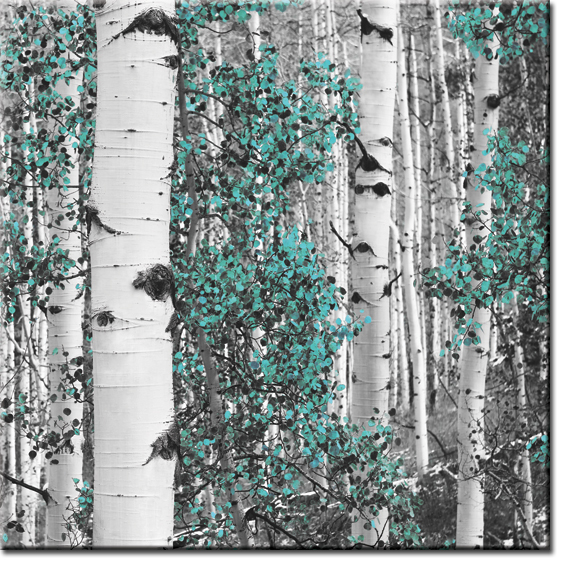 fototapety z drzewami