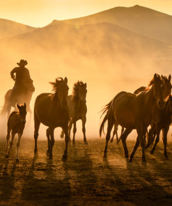 Fototapeta z motywem kowboja i koni