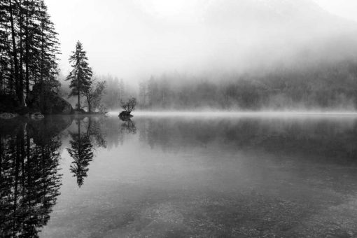 Fototapeta - Mgła nad jeziorem