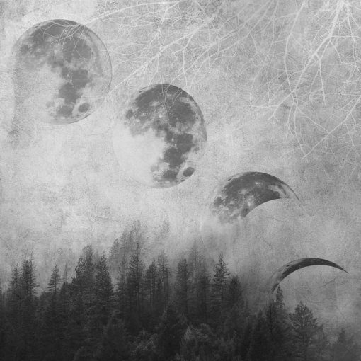 Fototapeta z fazami księżyca w szarościach