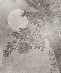 Foto-tapeta przedstawiająca księżyc