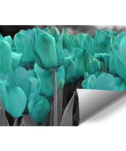 tapeta z motywem tulipanów